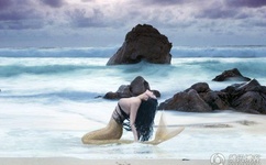 罗莉岛事件是怎么回事